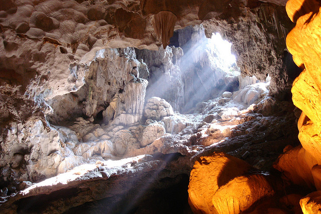 tour du lich ha long tet nguyen dan