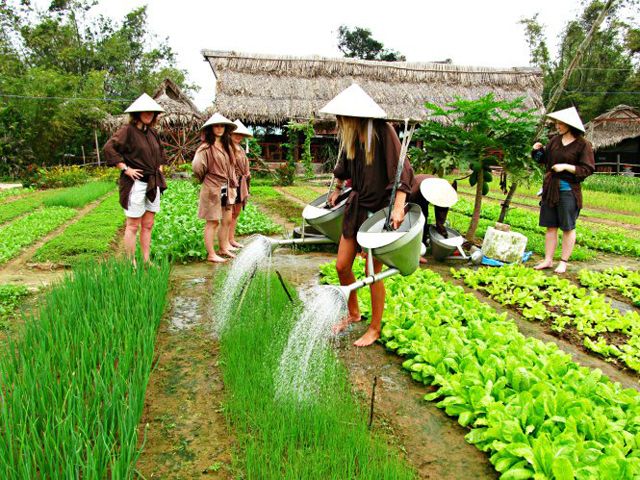 tour du lich hoi an hang ngay