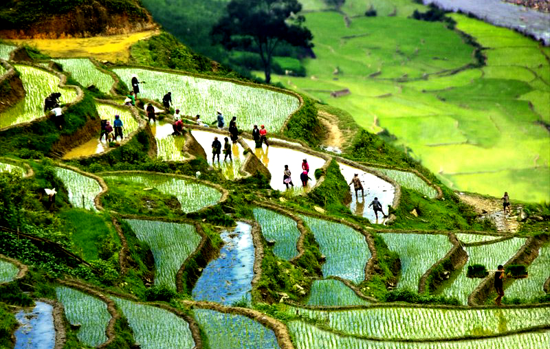 kham pha net dep ban lao chai va ban ta van