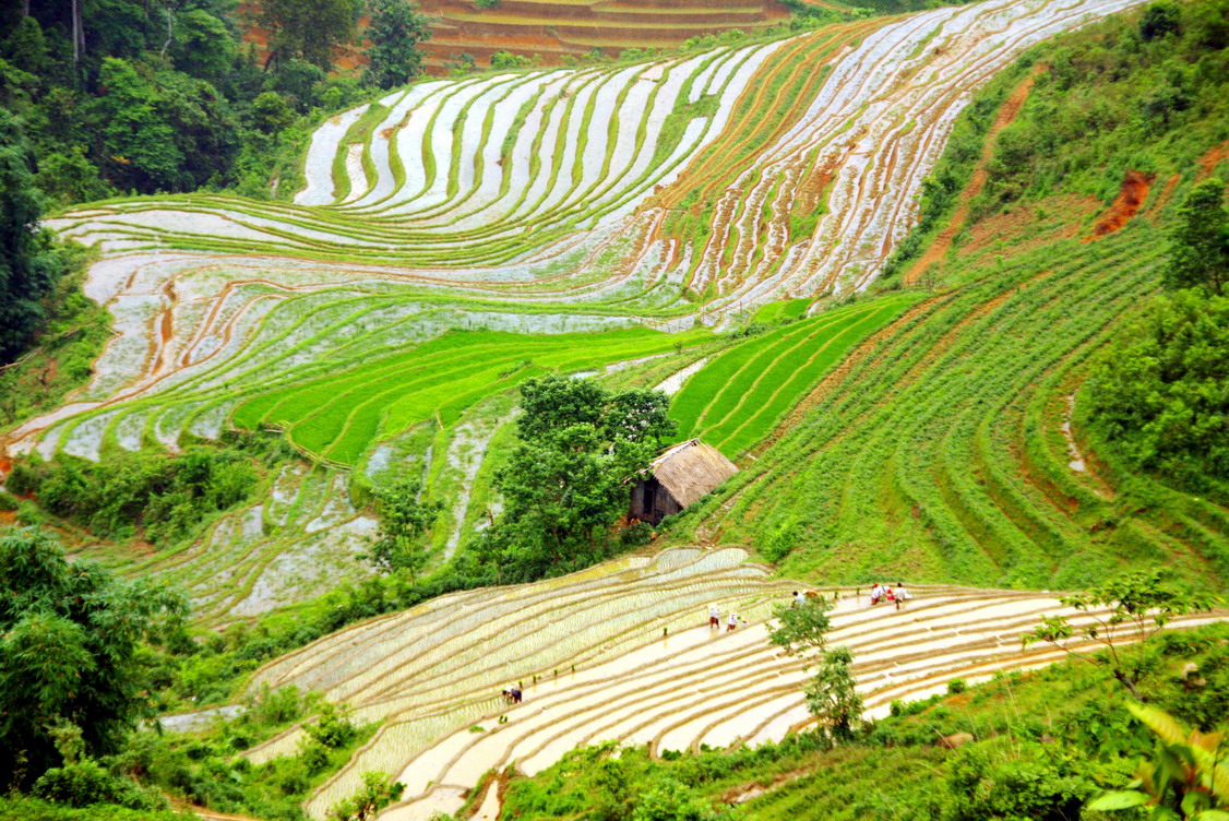 nhung kinh nghiem di ban ta phin