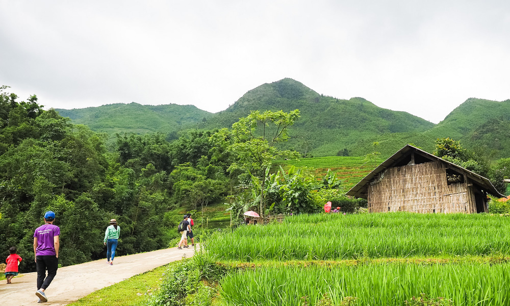 tour du lich sapa