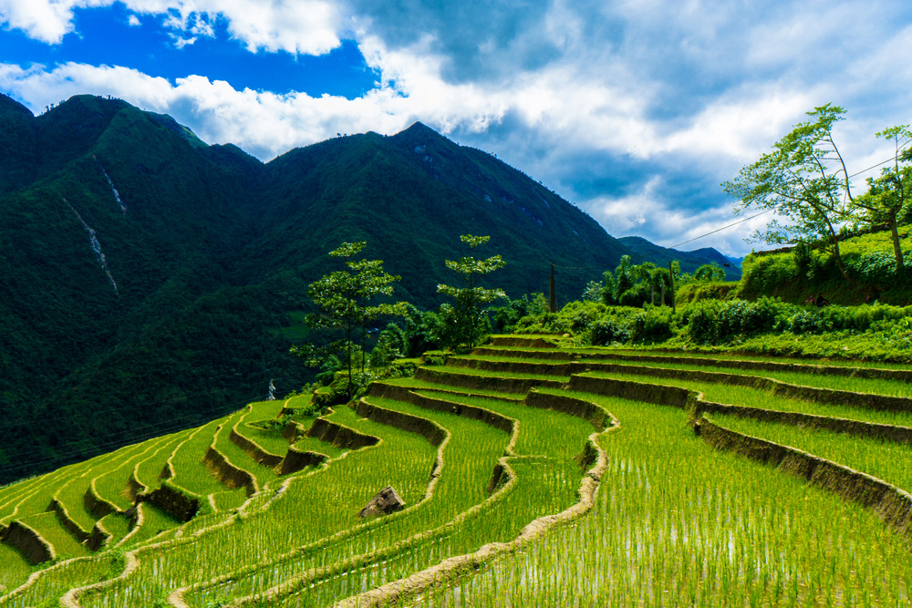 sapa tour du lich