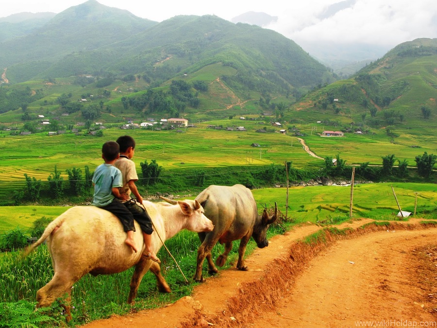 nhung dia diem du lich dep nhat o sapa