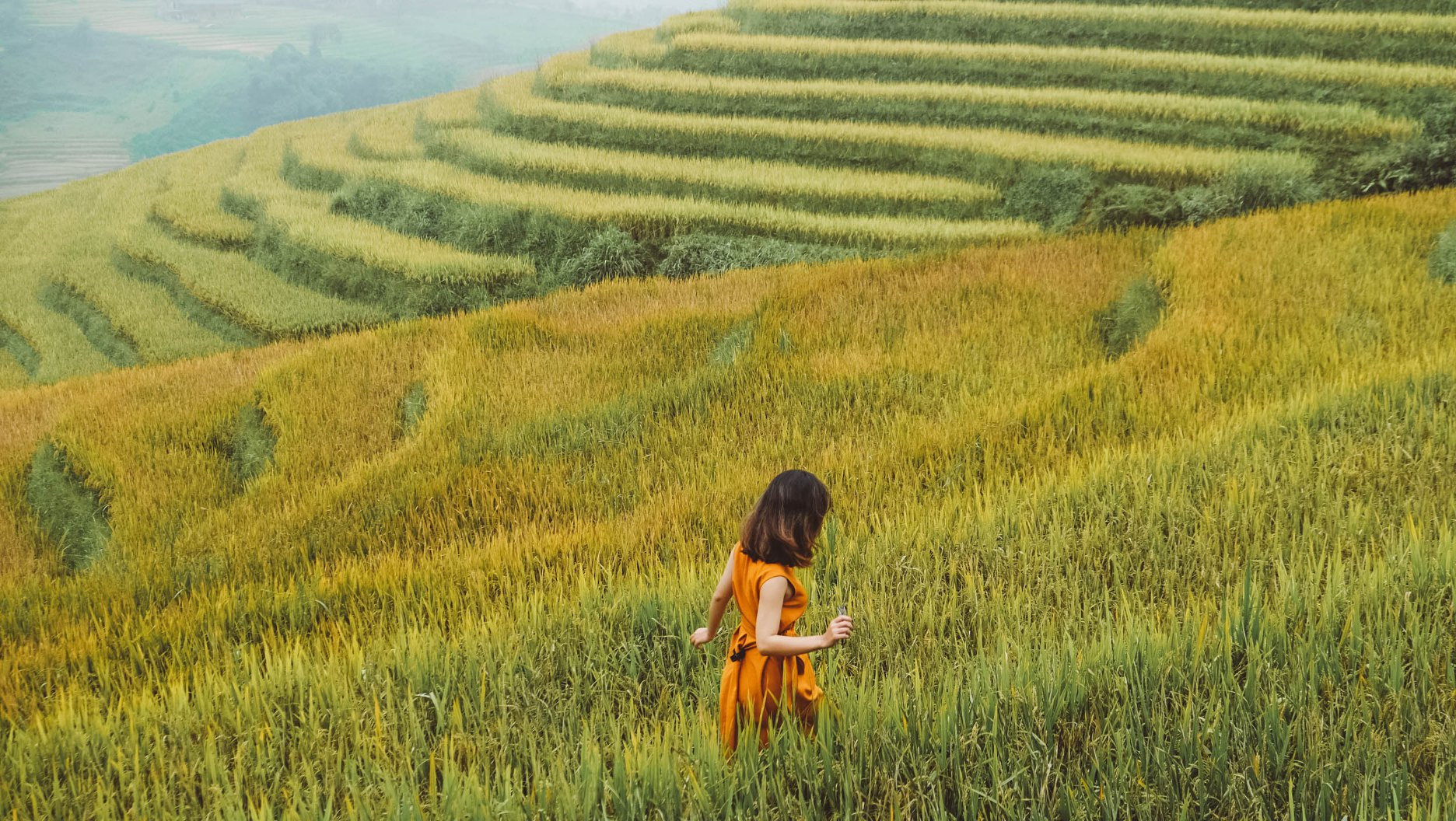 tu ha noi di sapa mat bao lau