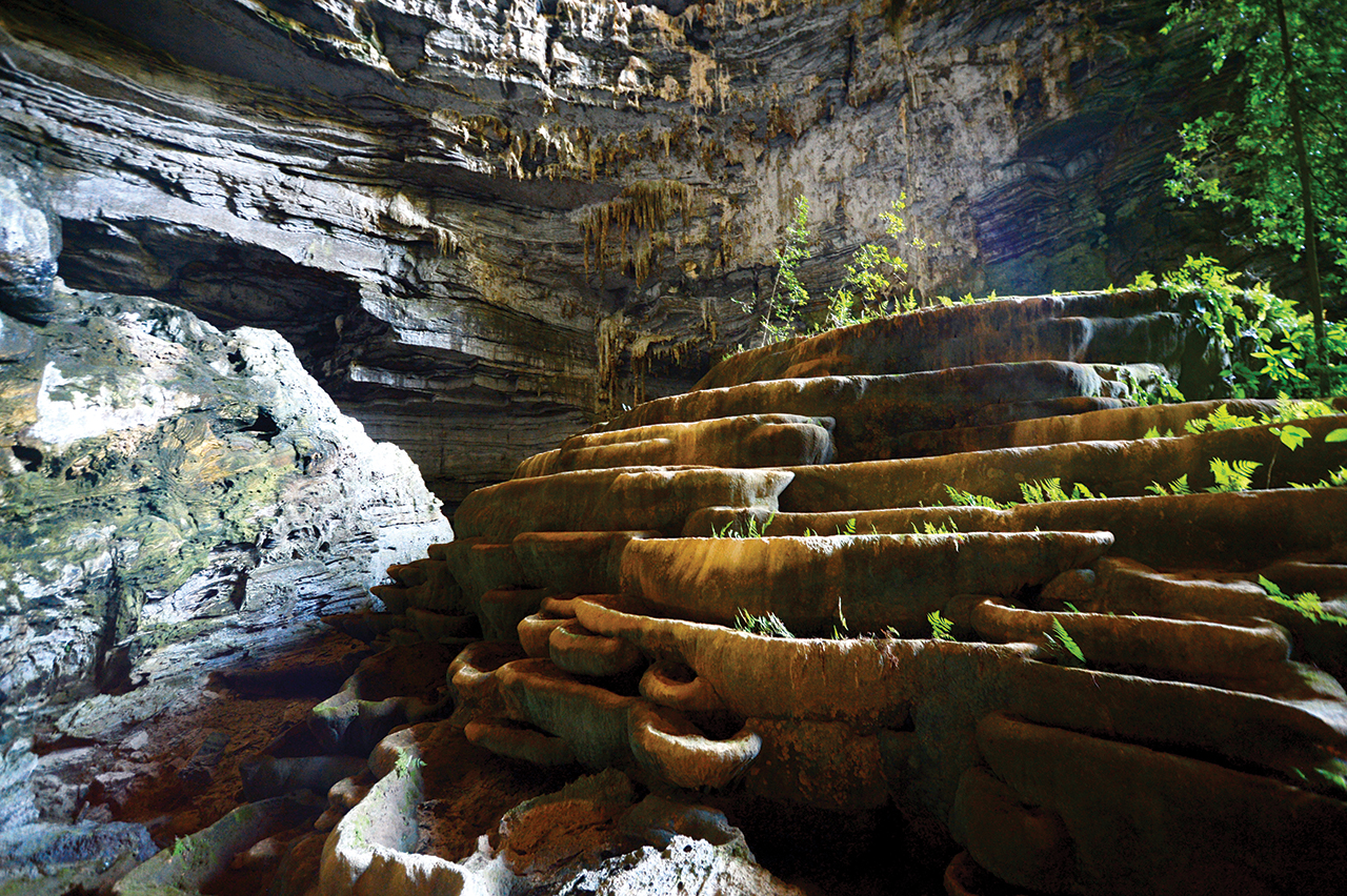 thang canh hang tien o sapa