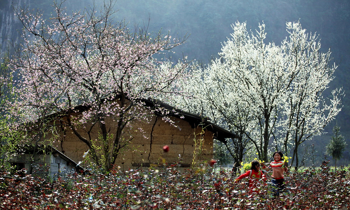 nhung dieu can biet khi du lich sapa