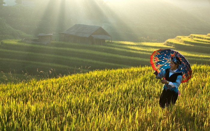 tour du lich sapa