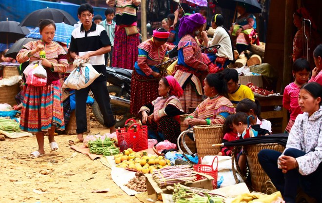 tour du lich sapa 7 ngay