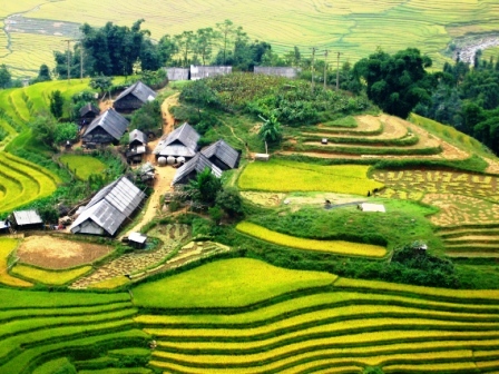 Tour Du Lịch Sapa - Bản Cát Cát - Hàm Rồng 3 Ngày (Đi - Về...