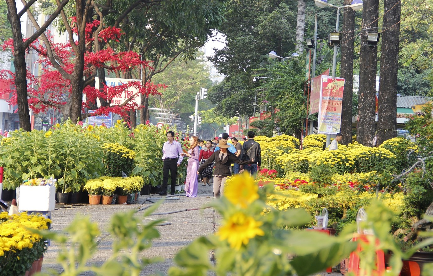 nen di dau choi ngay tet o thanh pho ho chi minh