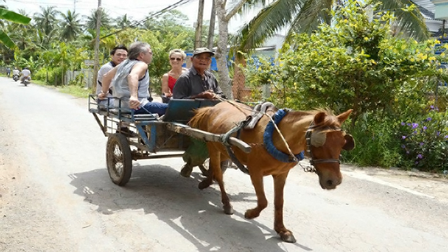 TOP Tour Du Lịch Xuyên Việt Khởi hành từ Hà Nội - Miền Bắc hot nhất 2022 | Viet Fun Travel